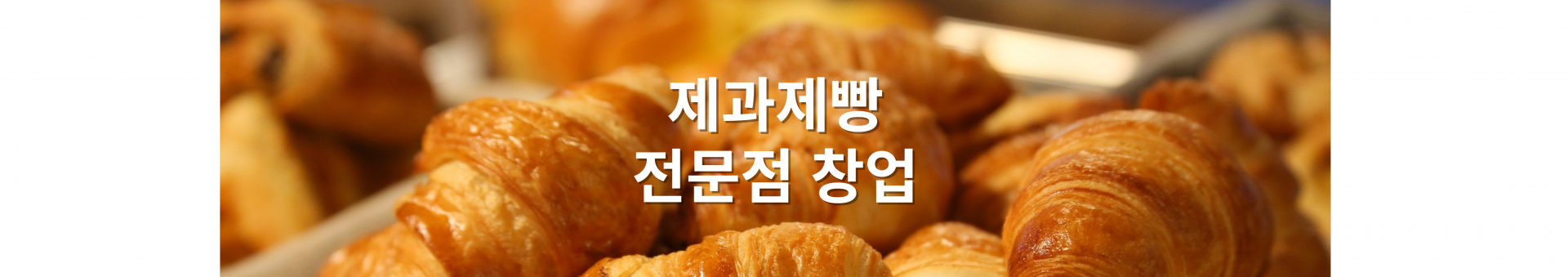 메인 비주얼 이미지